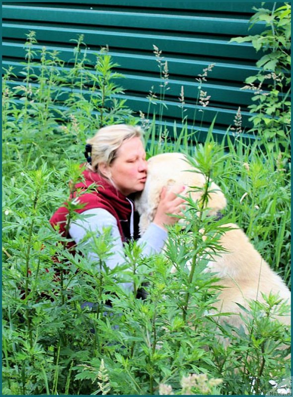 Фотография № 157254