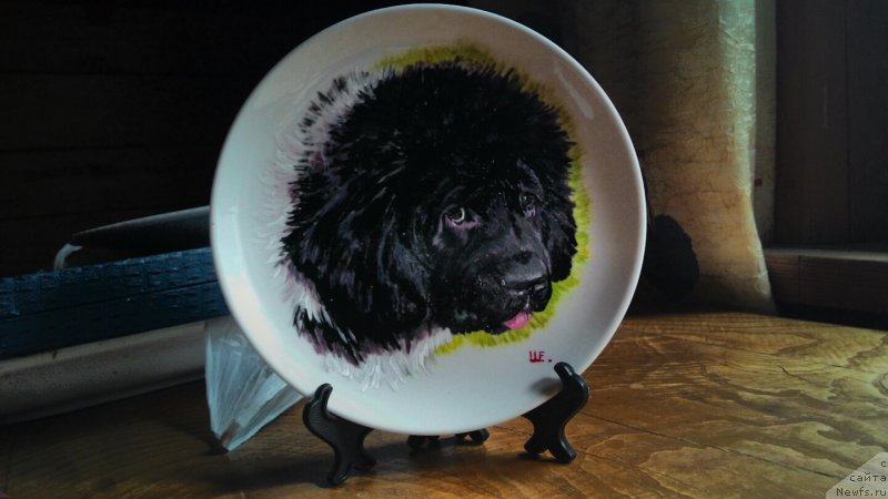 Фотография № 157293