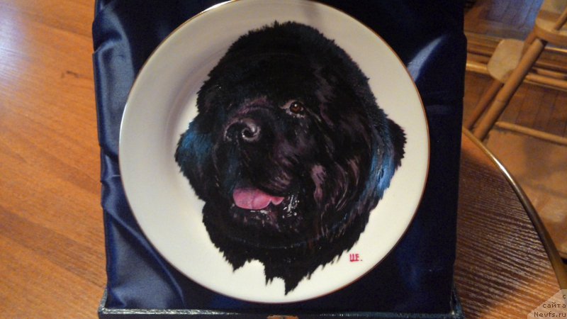 Фотография № 157294