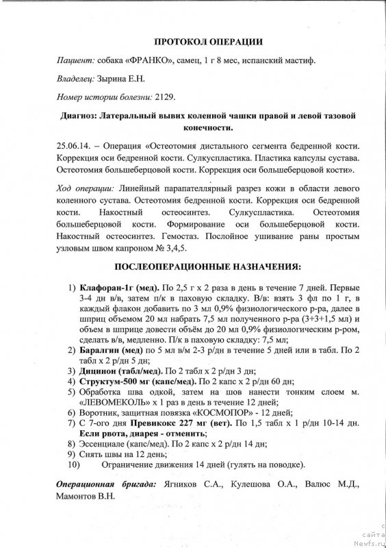 Фотография № 157323