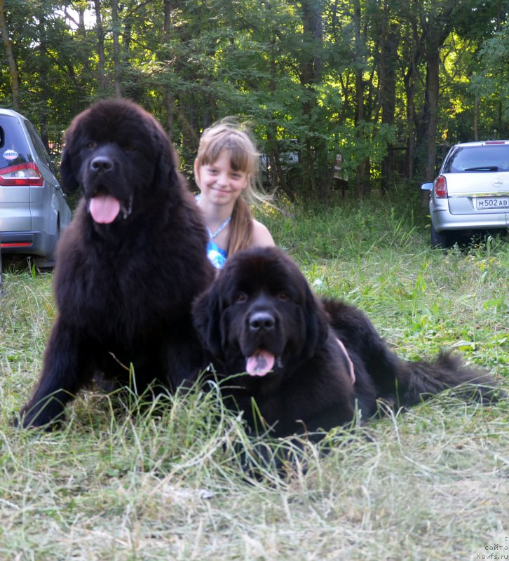 Фотография № 157325