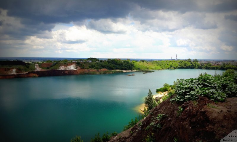 Фото: ньюфаундленд Черный Чанк с Берега Дона (Chernyj Chank s Berega Dona)