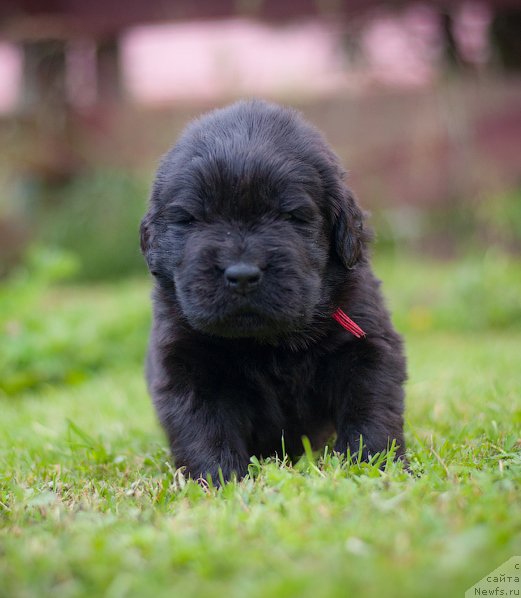 Фотография № 157344