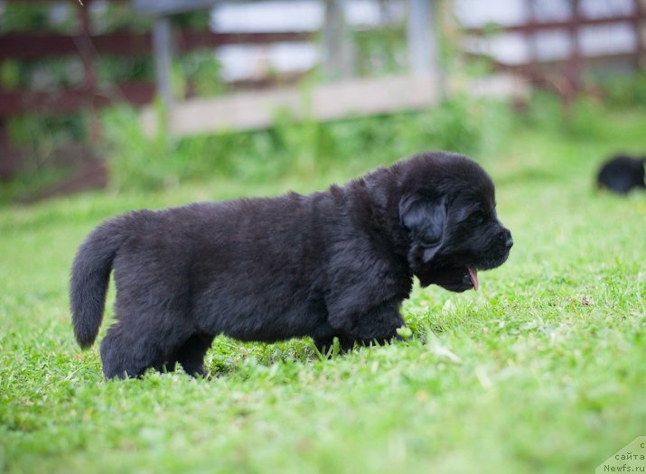 Фотография № 157349