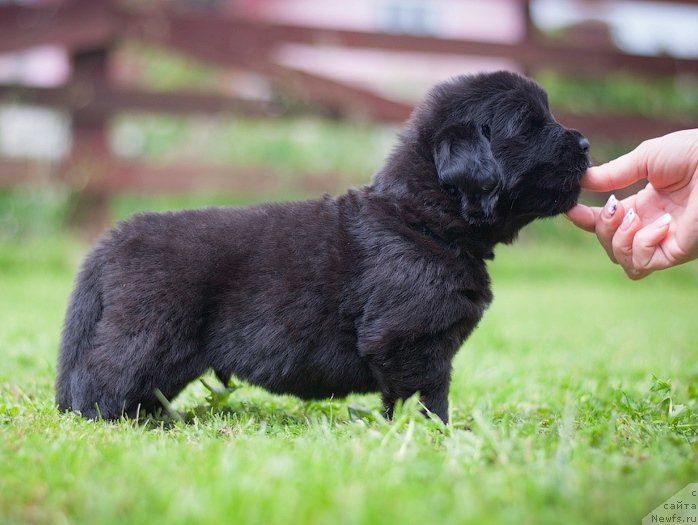 Фотография № 157351