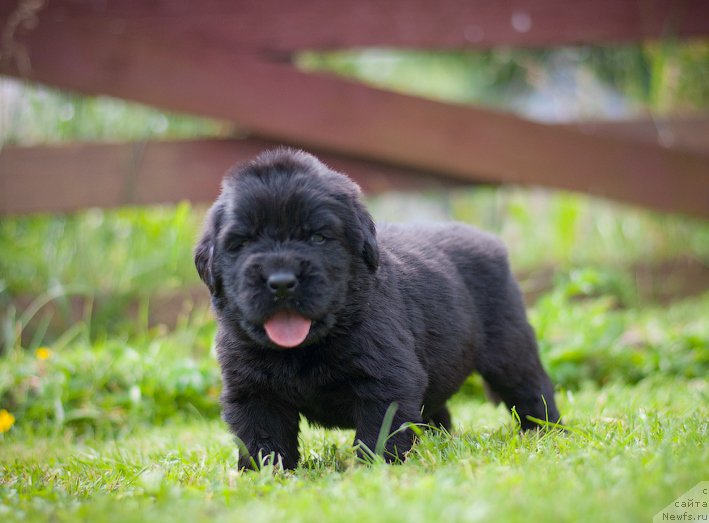 Фотография № 157356