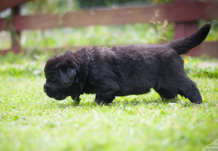 Фотография № 157357