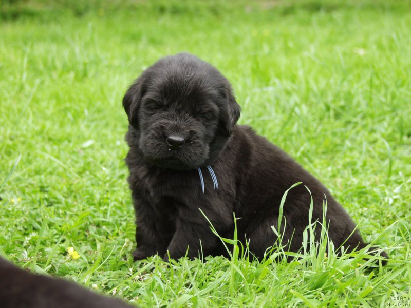 Фотография № 157360