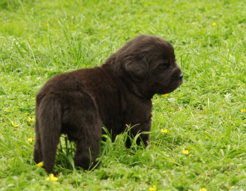 Фотография № 157366