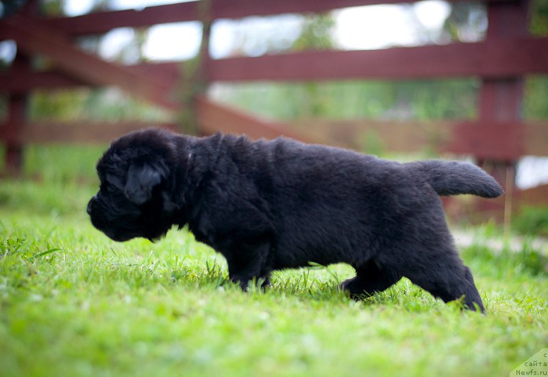 Фотография № 157371