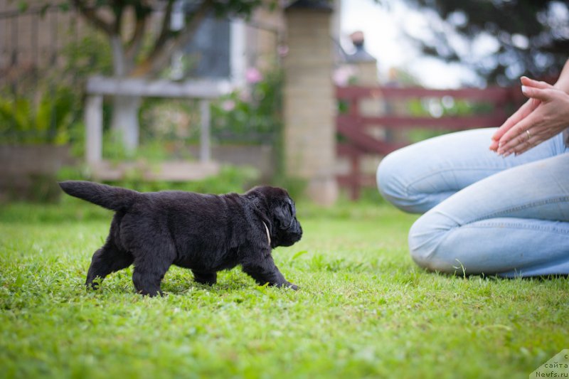 Фотография № 157372