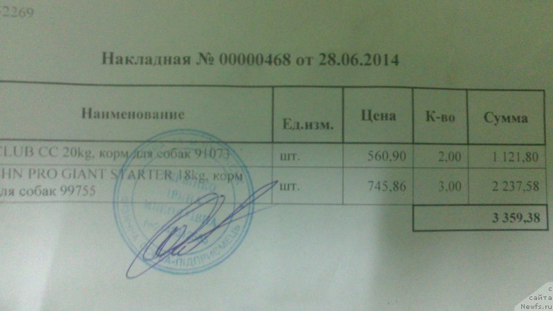 Фото: Ольга Малыхина