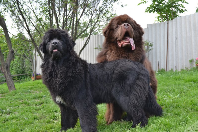 Фотография № 157427