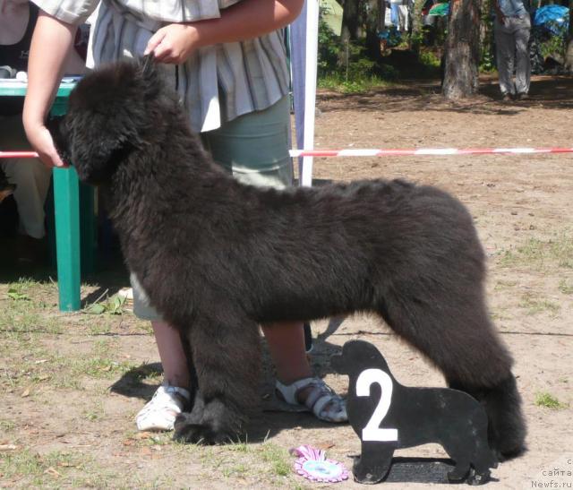 Фотография № 15743