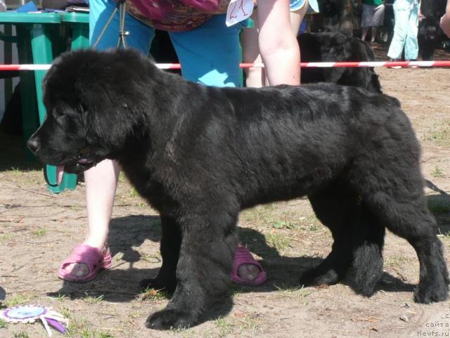 Фотография № 15744