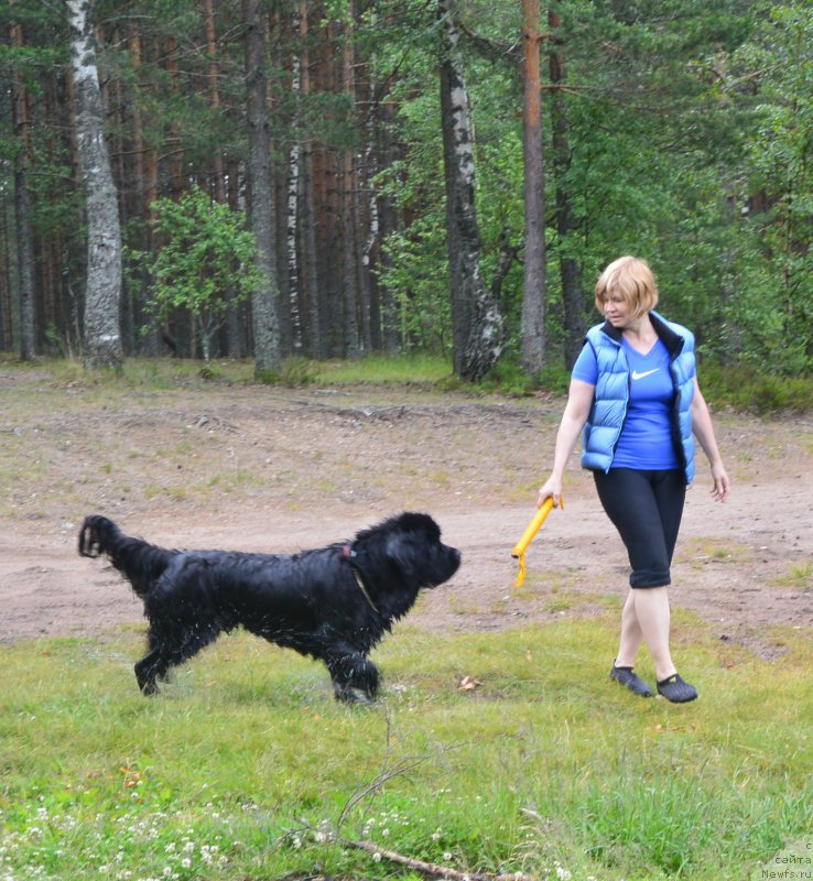 Фотография № 157458