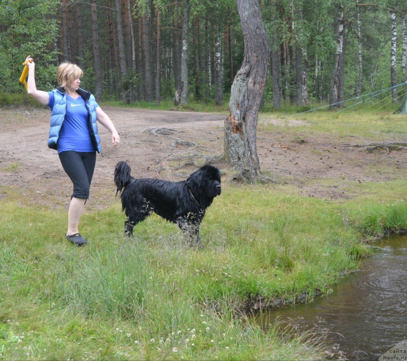 Фотография № 157459