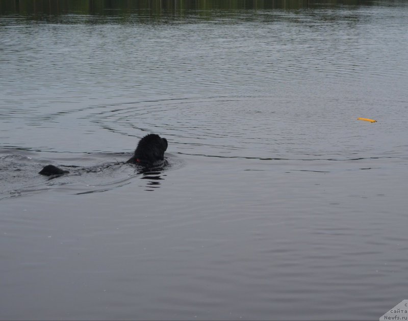 Фотография № 157460