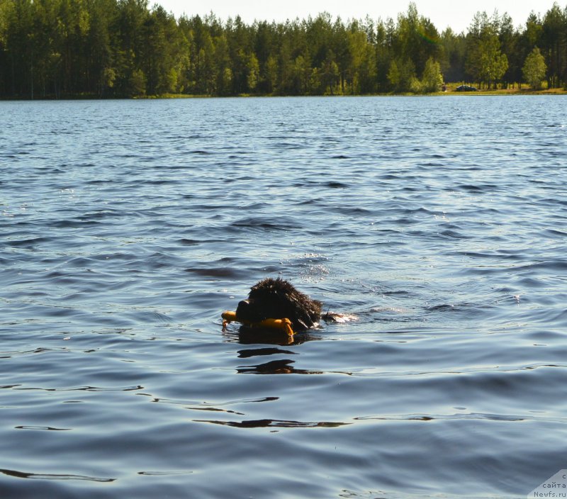 Фотография № 157461