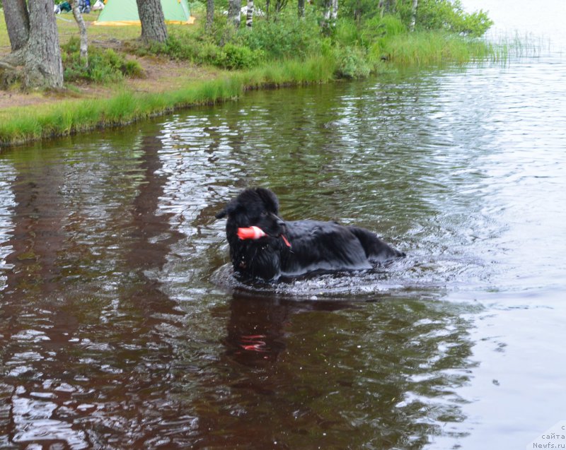 Фотография № 157462