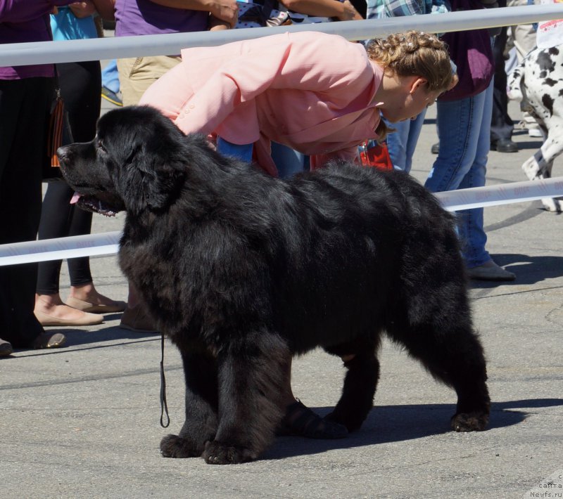 Фотография № 157484