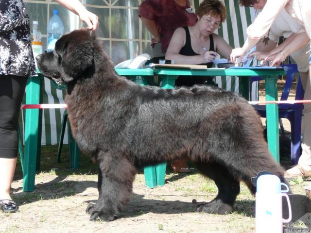 Фотография № 15749