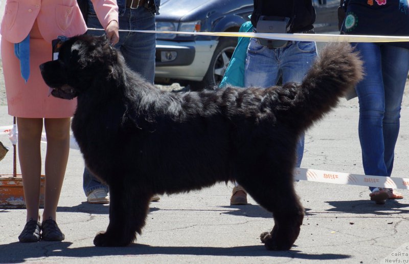 Фотография № 157493