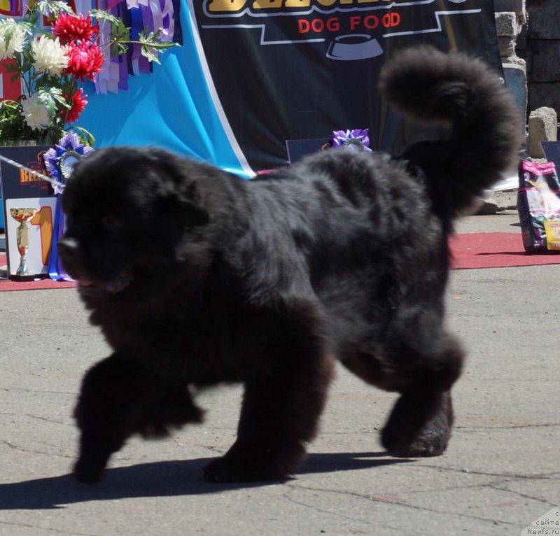 Фотография № 157494