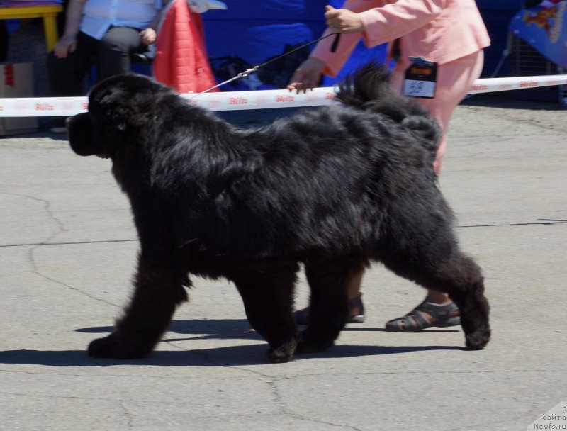 Фотография № 157497