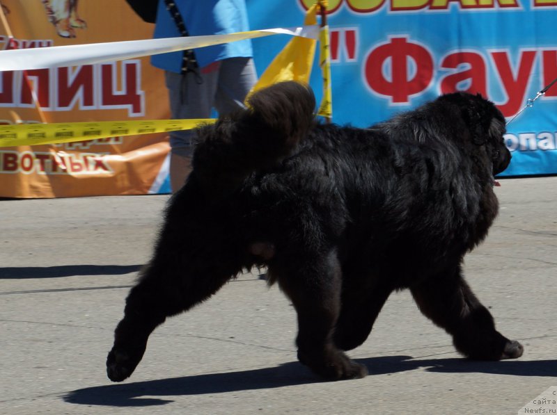 Фотография № 157499