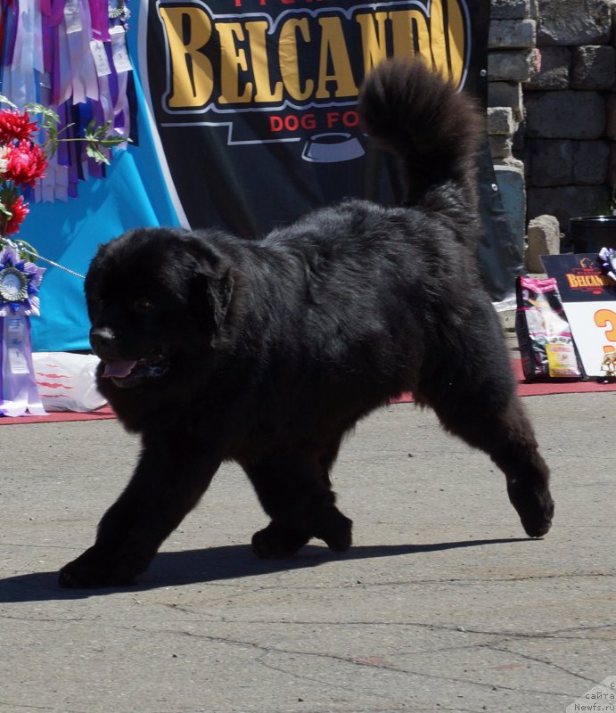 Фотография № 157500