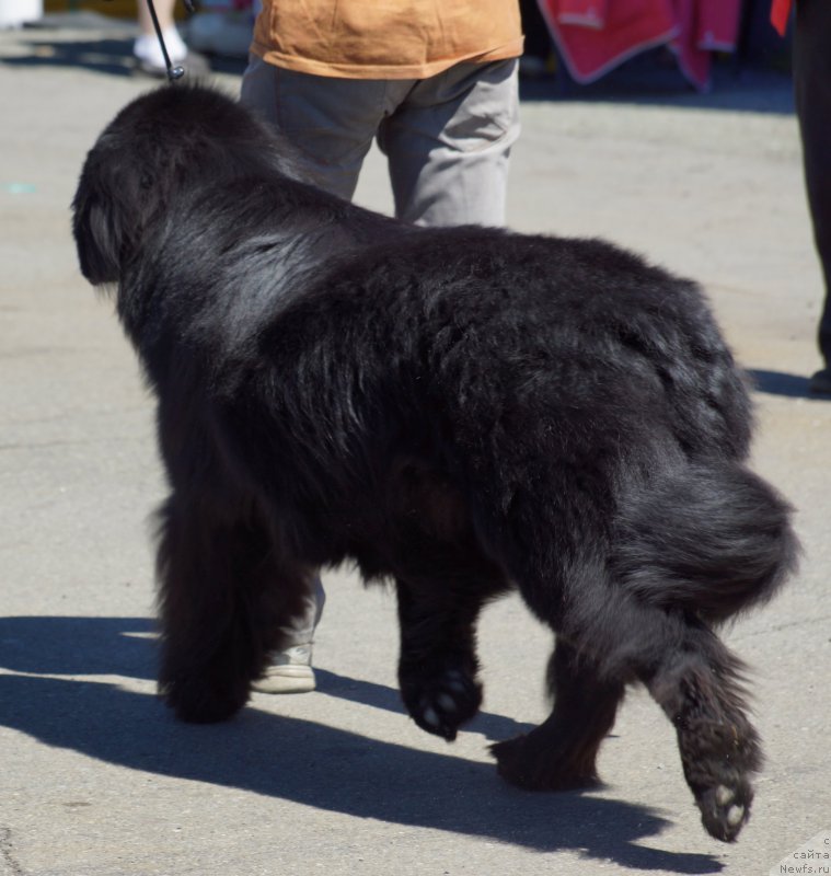 Фотография № 157507