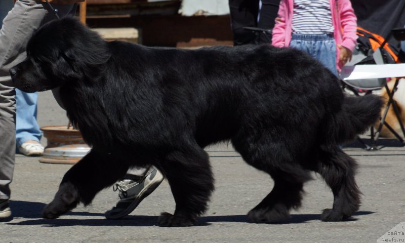 Фотография № 157514