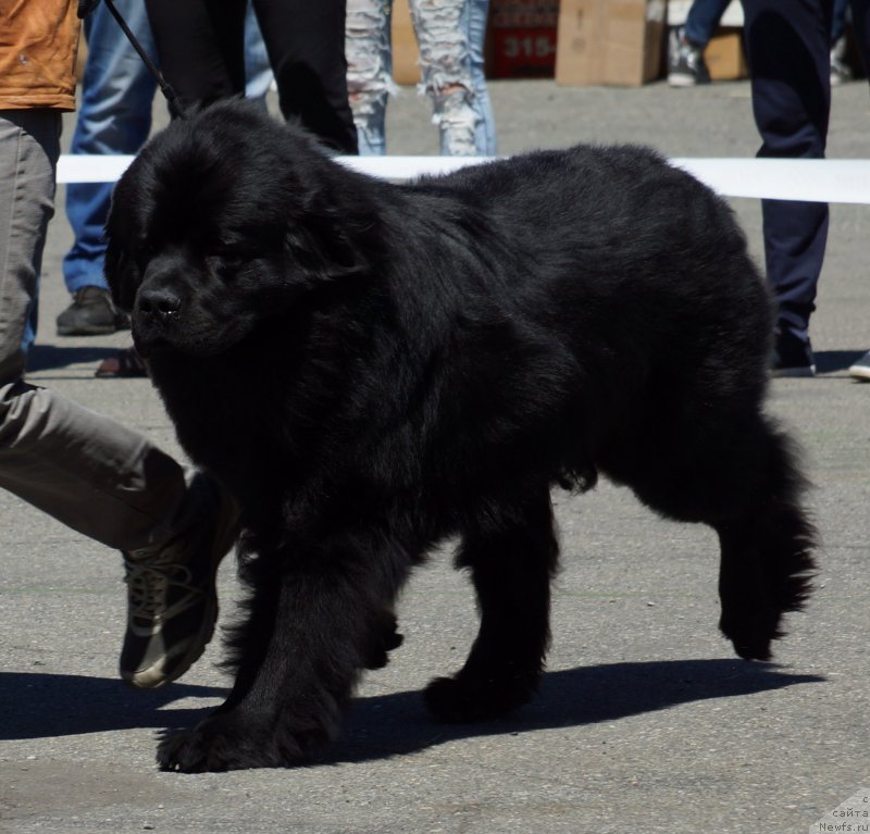 Фотография № 157515