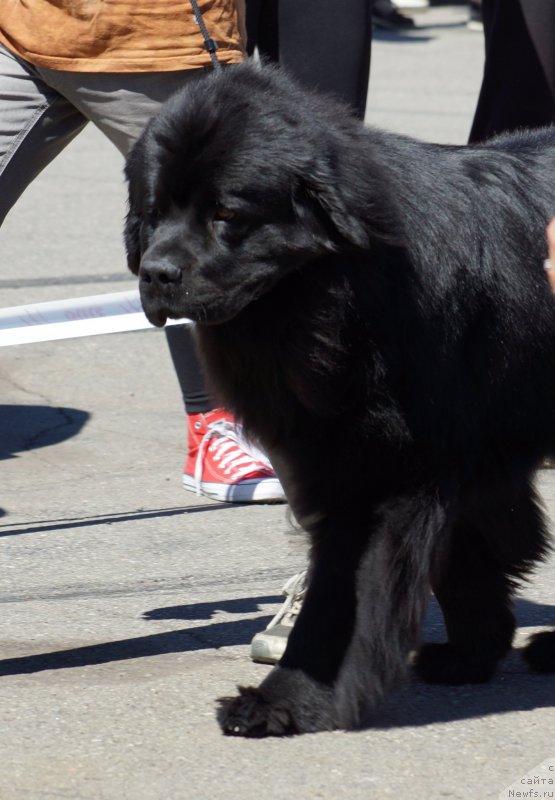 Фотография № 157517