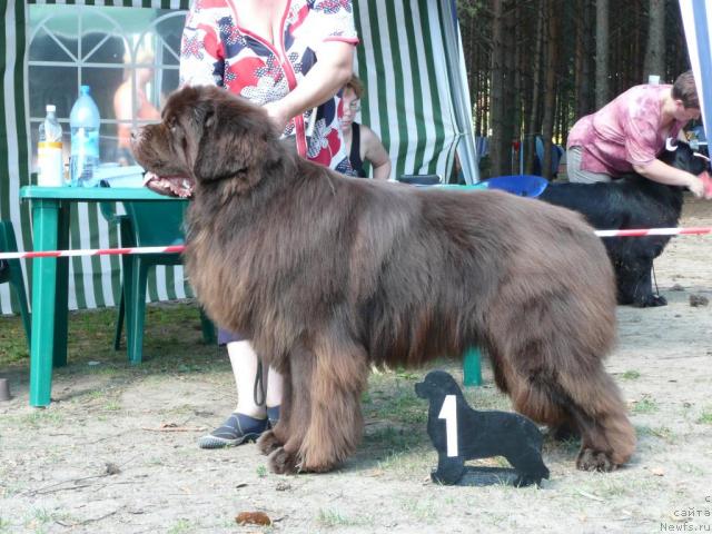 Фотография № 15760