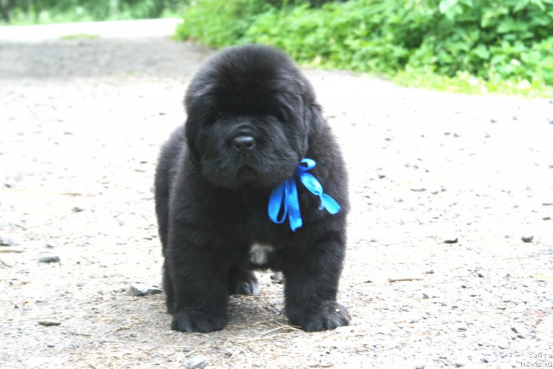 Фотография № 157604