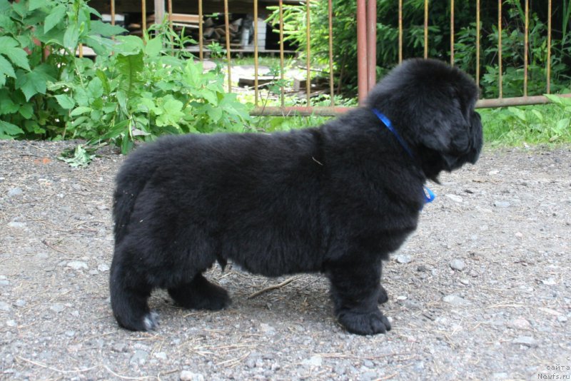 Фотография № 157605