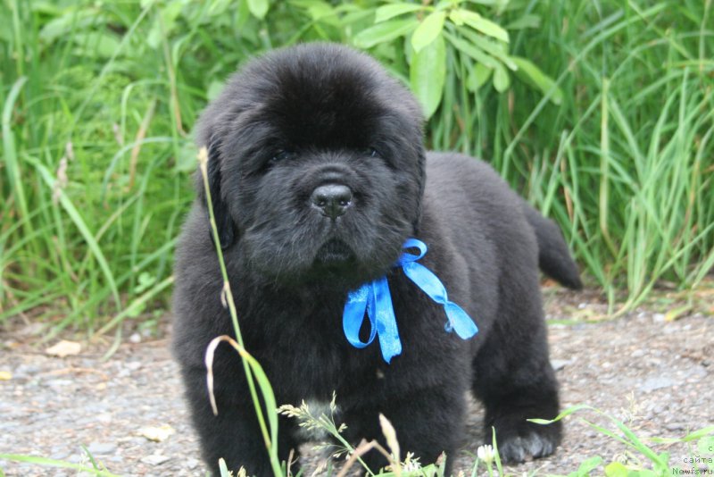 Фотография № 157606