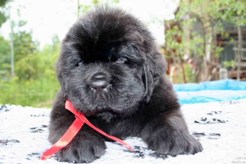 Фотография № 157607