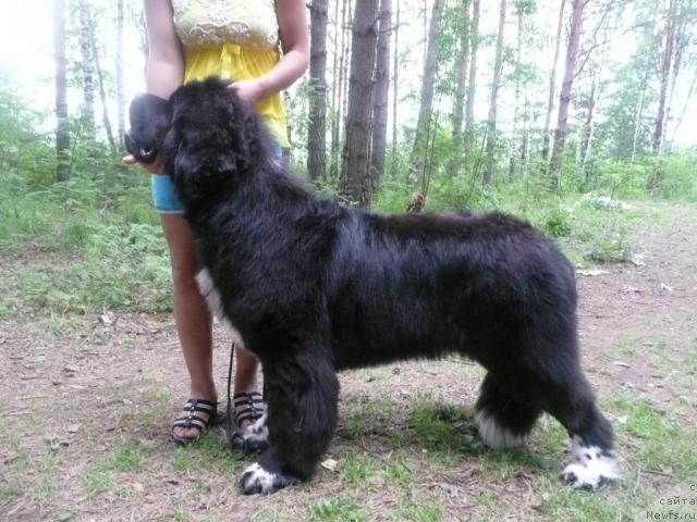 Фотография № 15761