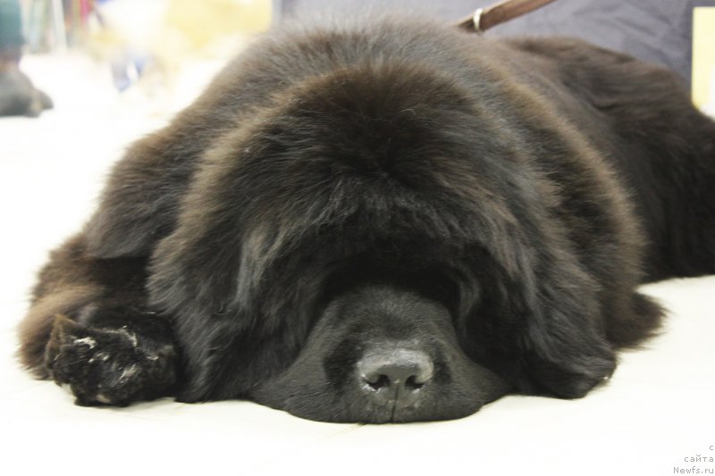 Фотография № 157673