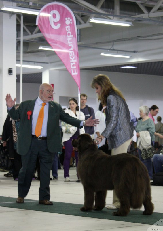 Фотография № 157675