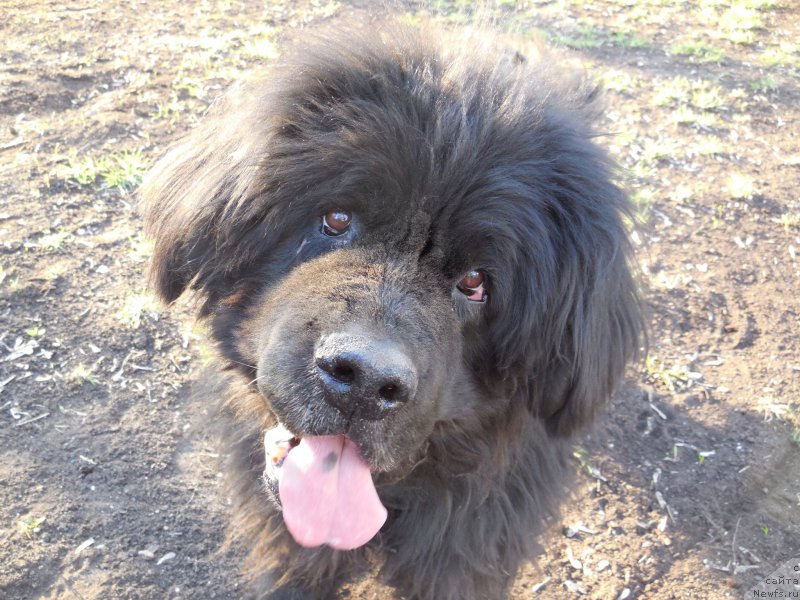 Фотография № 157679