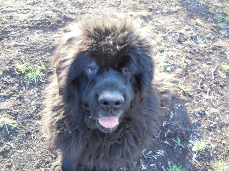 Фотография № 157680