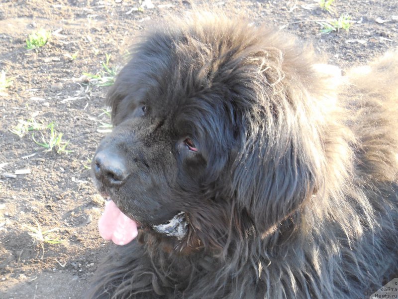 Фотография № 157681