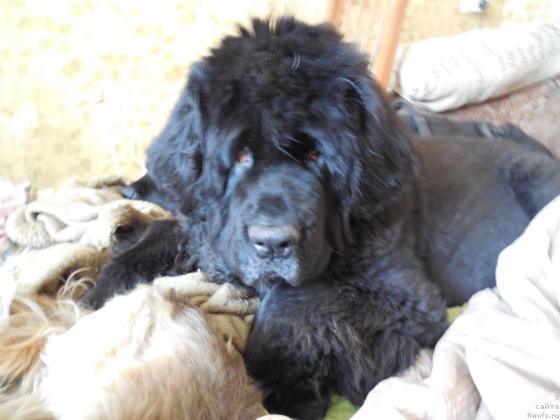 Фотография № 157682