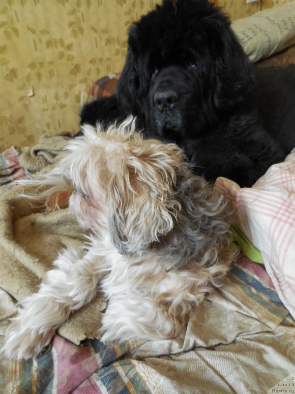 Фотография № 157685