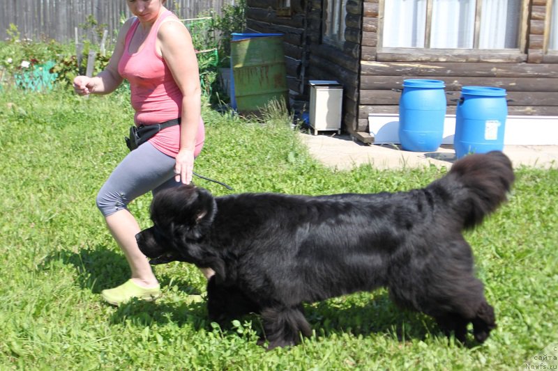 Фотография № 157691