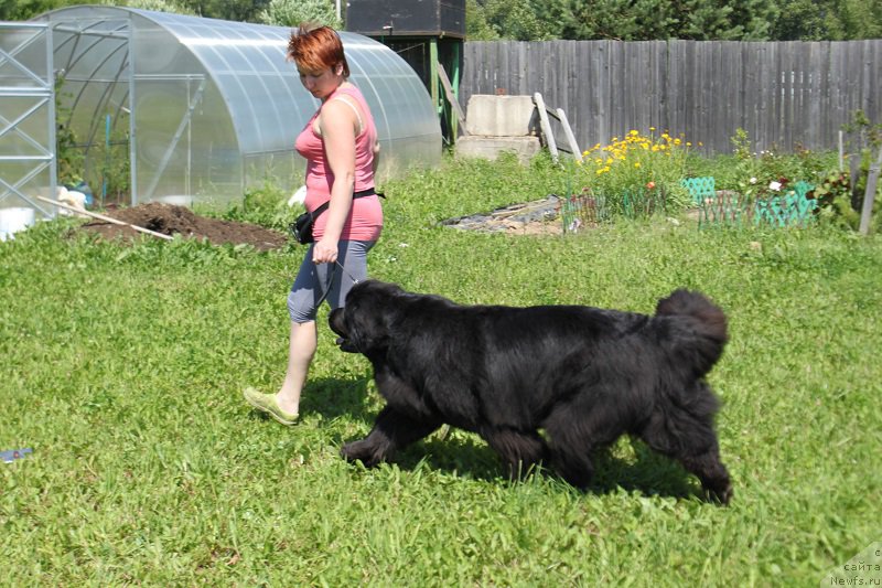 Фотография № 157692